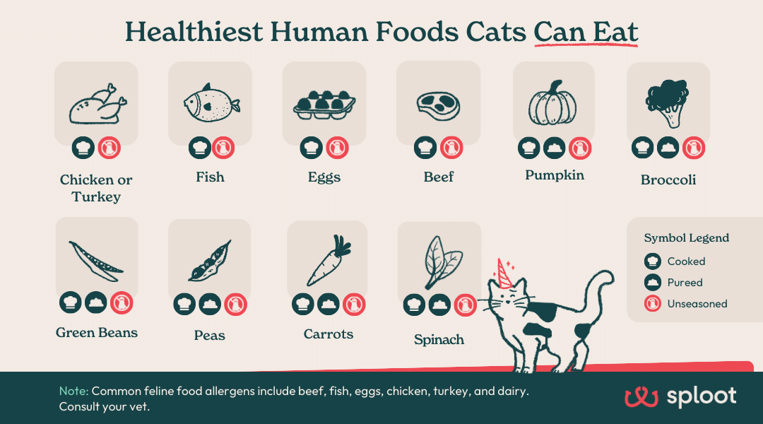Top 10 Healthiest Human Foods That Cats Can Eat